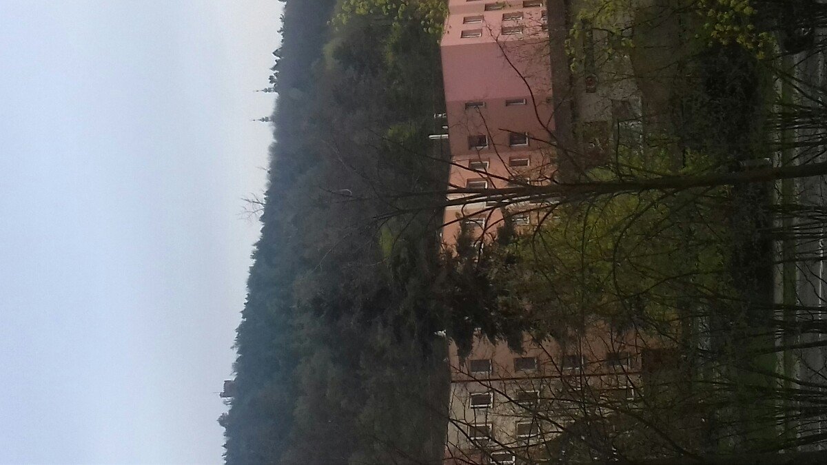 Krnov