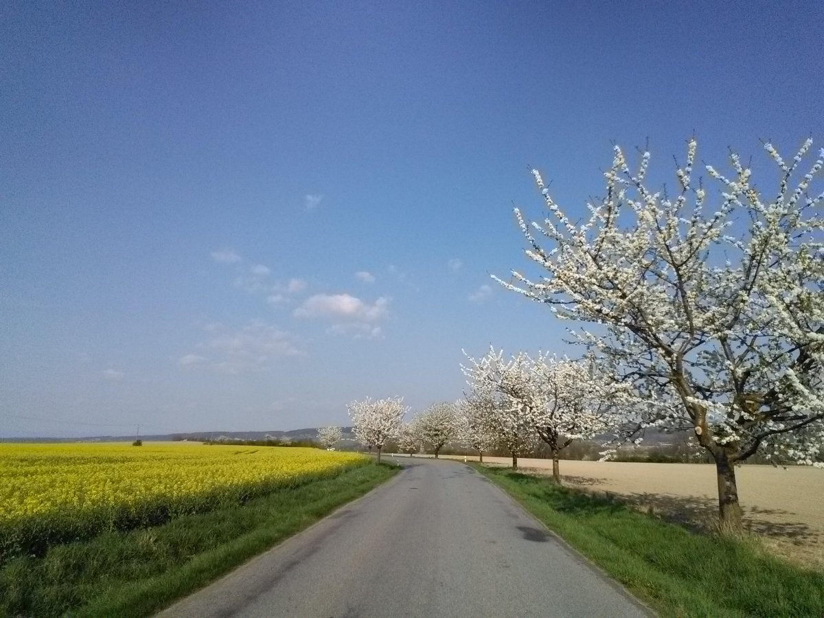 Luže