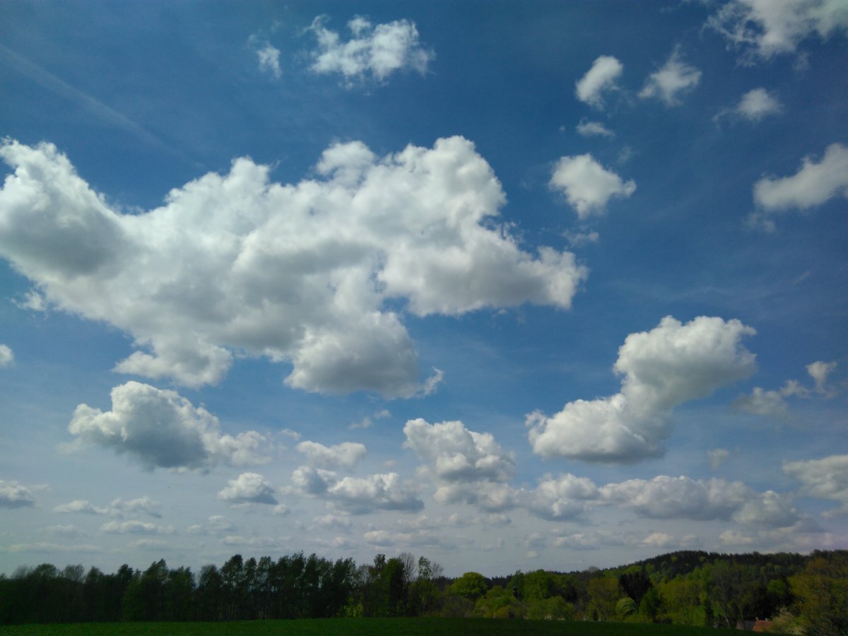 Sněžná
