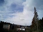 Borovina