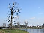 Neratovice