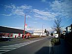 Borovina