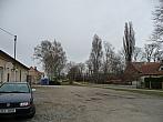 Třibřichy