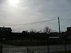 Třibřichy
