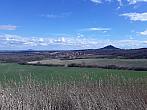 Podsedice