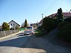 Třibřichy
