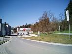 Borovina