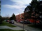 Borovina