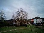Borovina