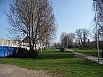 Třibřichy