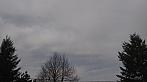 Tachov