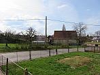 Třibřichy