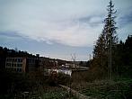 Borovina