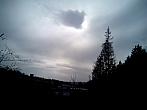 Borovina