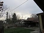 Třibřichy