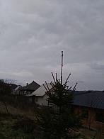 Skalité