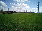 Borovina