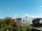 Hořice - Libonice