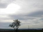 Strupčice
