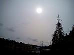 Borovina