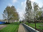 Třibřichy