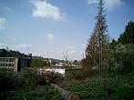 Borovina
