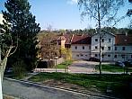 Borovina