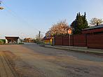 Třibřichy