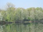Neratovice