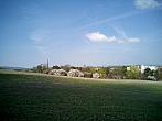 Borovina