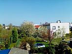 Hořice - Libonice