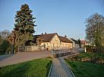 Třibřichy