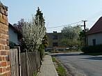 Třibřichy