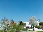 Jičín