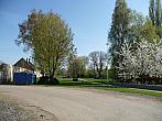 Třibřichy