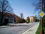 Borovina