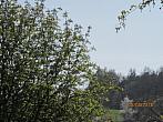 Kracovice