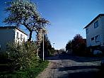 Borovina
