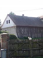 Třibřichy