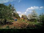 Borovina