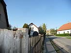Třibřichy