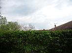 Třibřichy