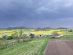 Podsedice