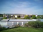 Borovina