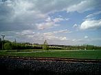 Borovina