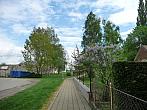 Třibřichy