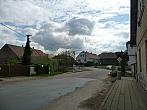 Třibřichy