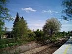 Borovina