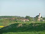Třibřichy