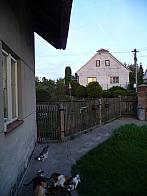 Třibřichy